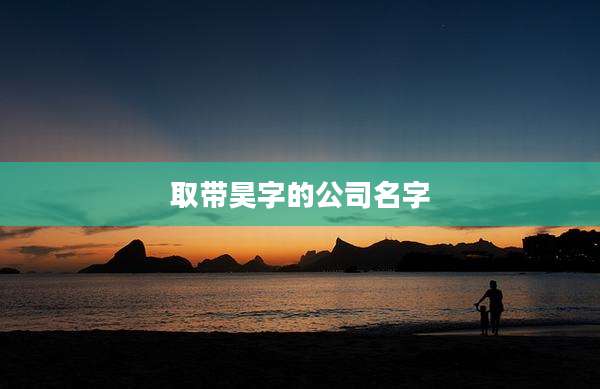 取带昊字的公司名字