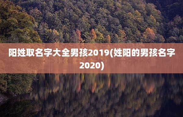 阳姓取名字大全男孩2019(姓阳的男孩名字2020)