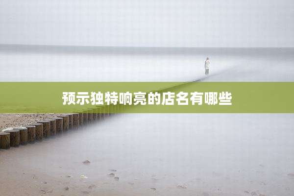 预示独特响亮的店名有哪些