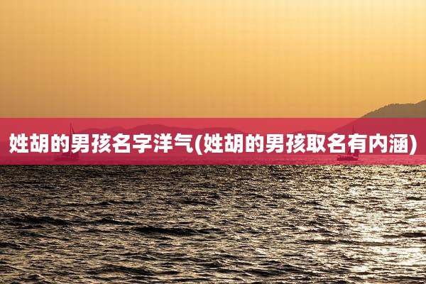 姓胡的男孩名字洋气(姓胡的男孩取名有内涵)