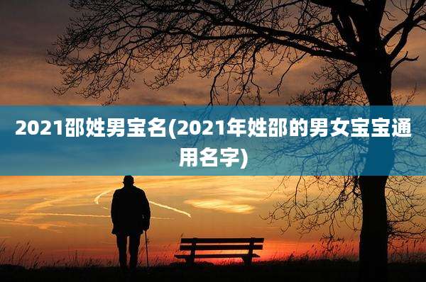 2021邵姓男宝名(2021年姓邵的男女宝宝通用名字)