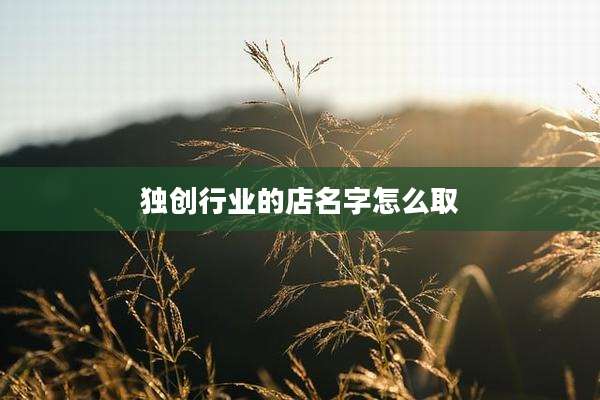独创行业的店名字怎么取