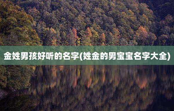 金姓男孩好听的名字(姓金的男宝宝名字大全)