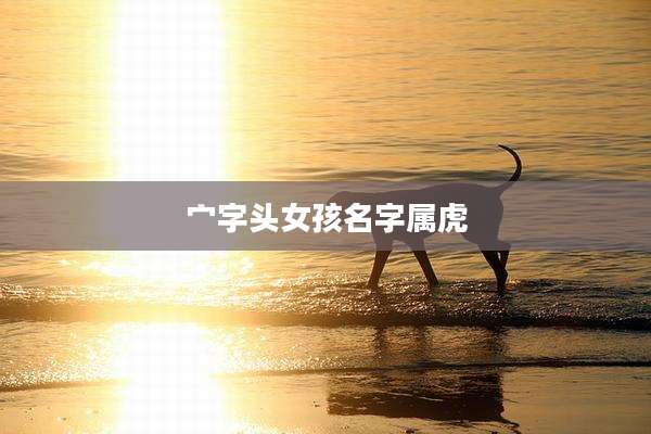宀字头女孩名字属虎