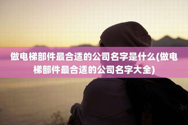 做电梯部件最合适的公司名字是什么(做电梯部件最合适的公司名字大全)