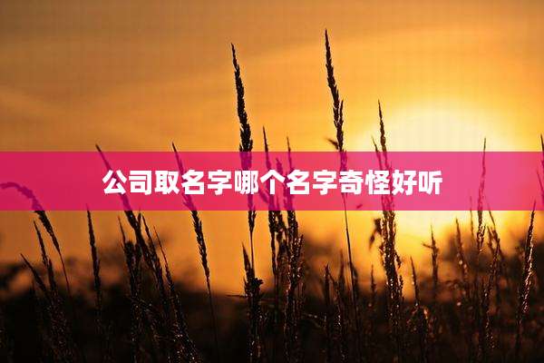 公司取名字哪个名字奇怪好听