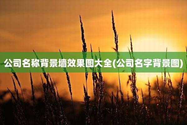 公司名称背景墙效果图大全(公司名字背景图)