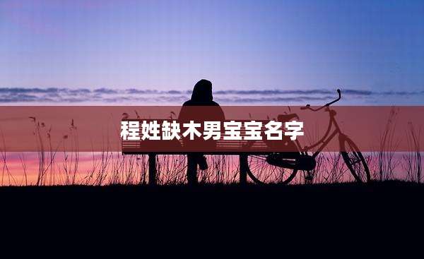 程姓缺木男宝宝名字