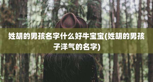 姓胡的男孩名字什么好牛宝宝(姓胡的男孩子洋气的名字)