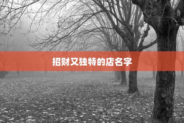招财又独特的店名字