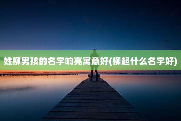 姓柳男孩的名字响亮寓意好(柳起什么名字好)