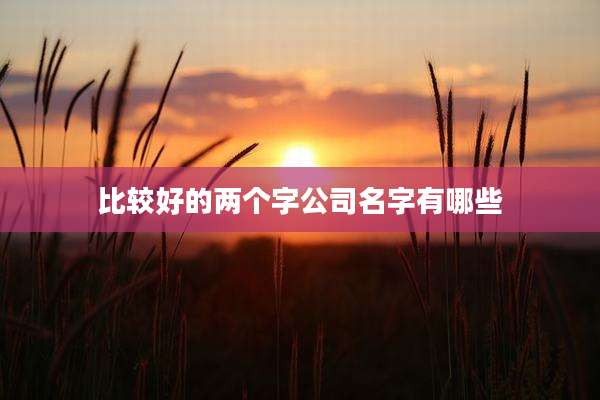 比较好的两个字公司名字有哪些