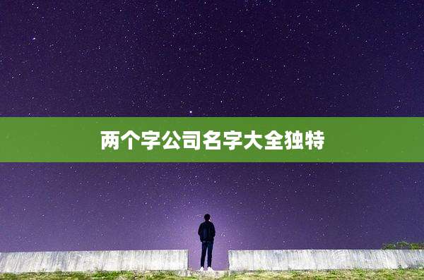 两个字公司名字大全独特