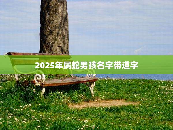 2025年属蛇男孩名字带道字