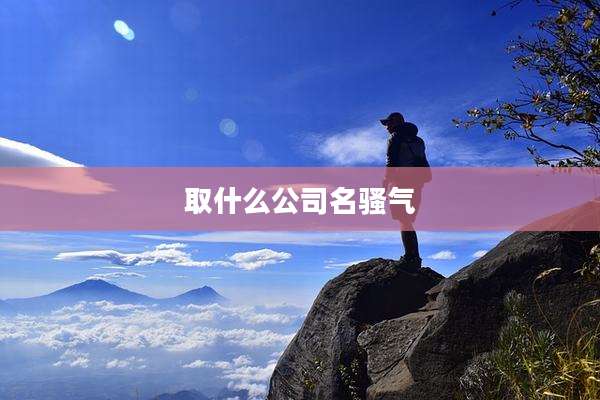 取什么公司名骚气