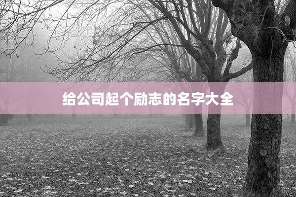 给公司起个励志的名字大全