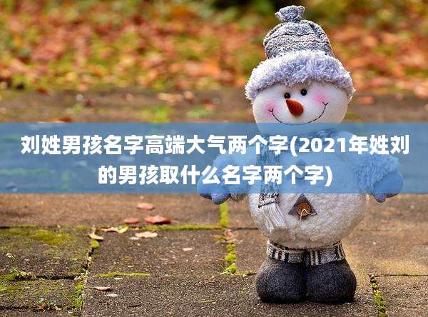 刘姓男孩名字高端大气两个字(2021年姓刘的男孩取什么名字两个字)