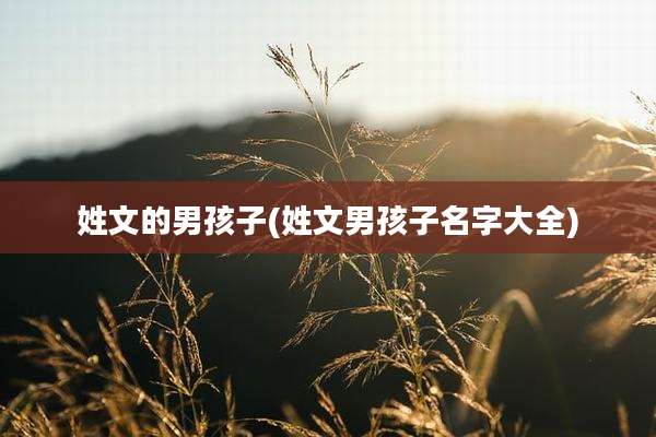 姓文的男孩子(姓文男孩子名字大全)