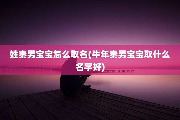 姓秦男宝宝怎么取名(牛年秦男宝宝取什么名字好)