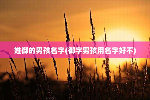 姓御的男孩名字(御字男孩用名字好不)