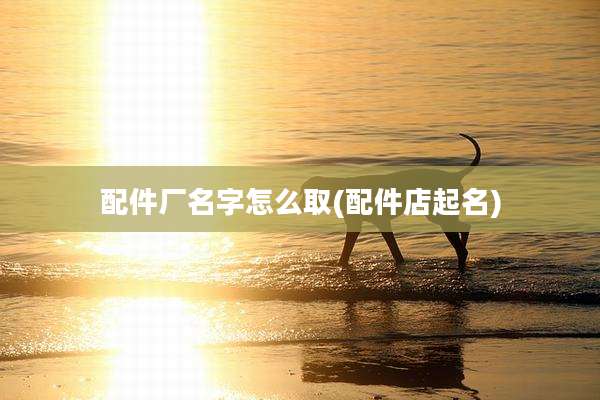 配件厂名字怎么取(配件店起名)