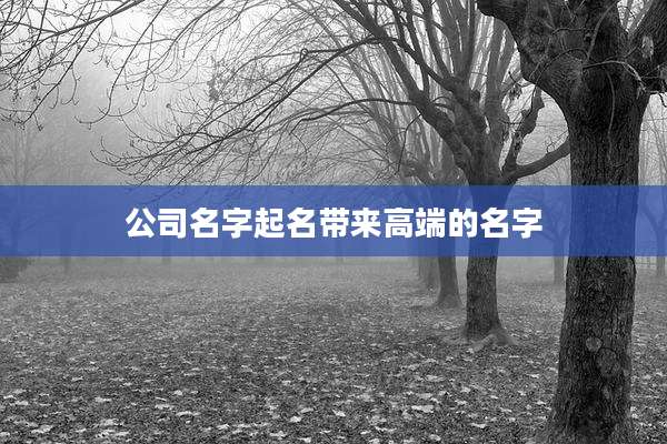 公司名字起名带来高端的名字