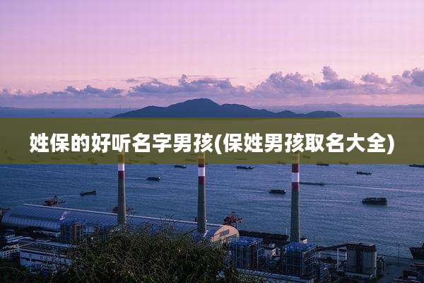 姓保的好听名字男孩(保姓男孩取名大全)