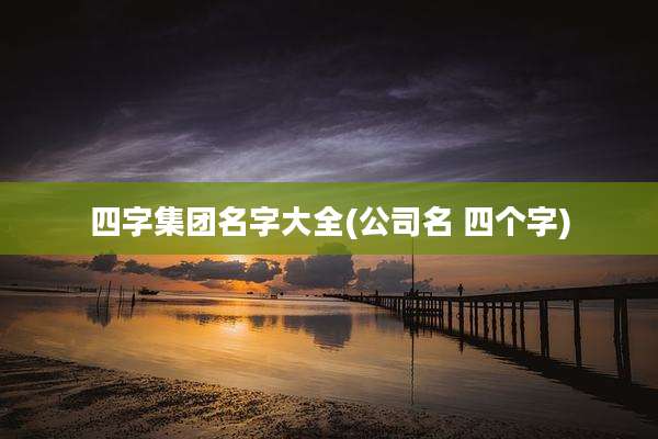 四字集团名字大全(公司名 四个字)