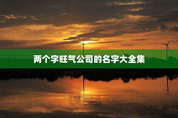 两个字旺气公司的名字大全集