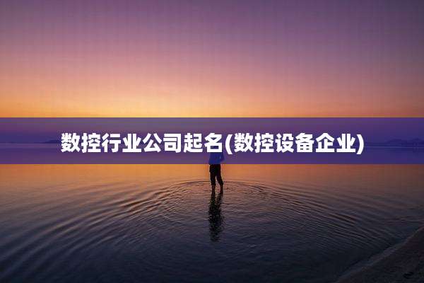 数控行业公司起名(数控设备企业)