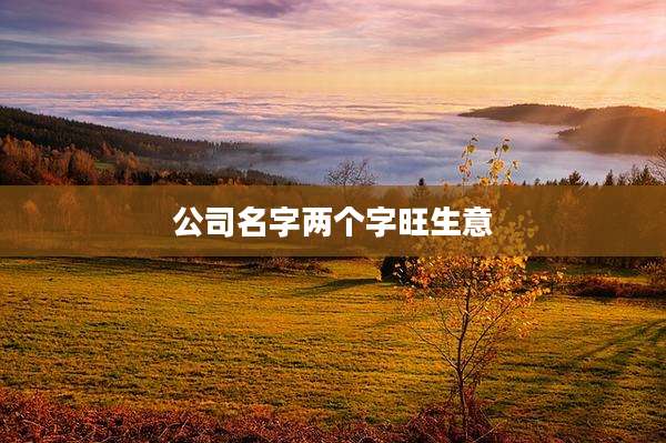 公司名字两个字旺生意