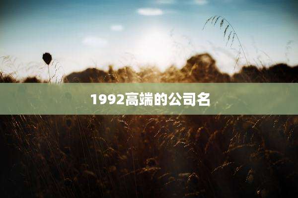 1992高端的公司名