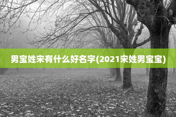 男宝姓宋有什么好名字(2021宋姓男宝宝)