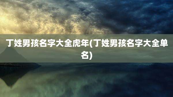 丁姓男孩名字大全虎年(丁姓男孩名字大全单名)