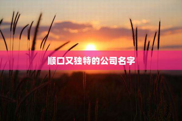 顺口又独特的公司名字
