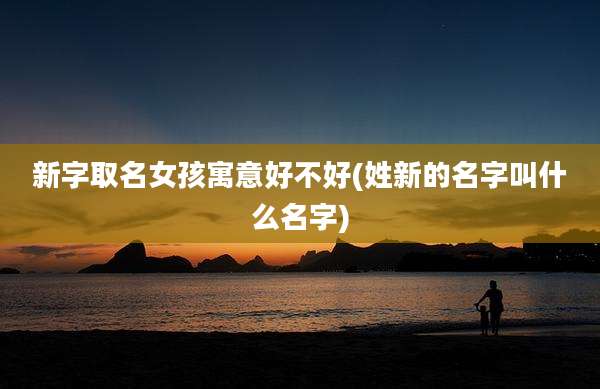 新字取名女孩寓意好不好(姓新的名字叫什么名字)