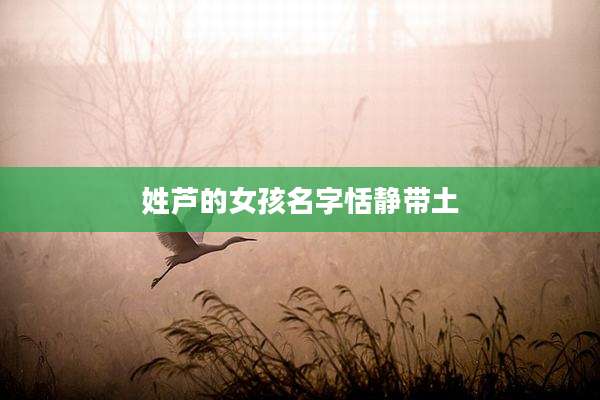 姓芦的女孩名字恬静带土