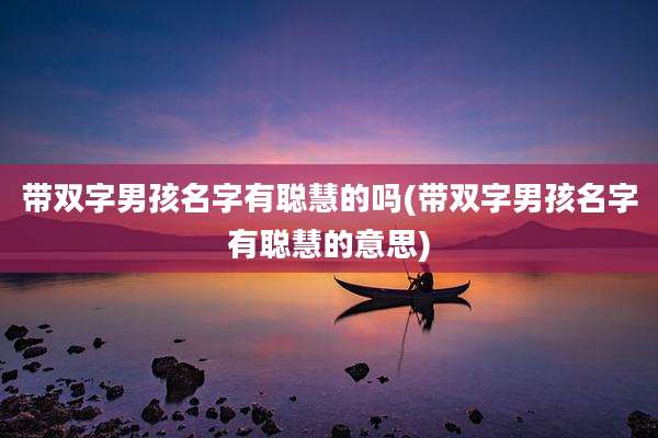 带双字男孩名字有聪慧的吗(带双字男孩名字有聪慧的意思)