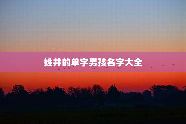 姓井的单字男孩名字大全