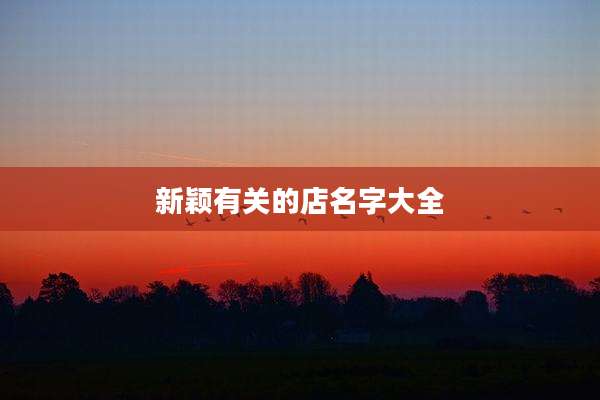 新颖有关的店名字大全