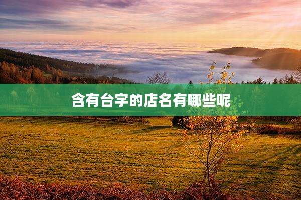 含有台字的店名有哪些呢