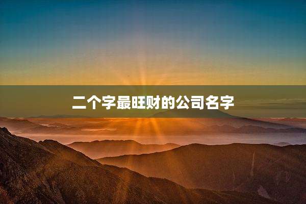 二个字最旺财的公司名字