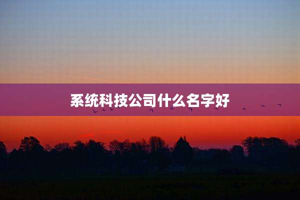 系统科技公司什么名字好