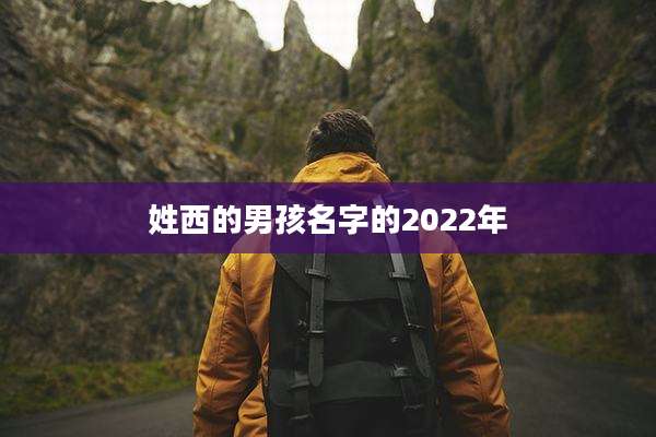 姓西的男孩名字的2022年