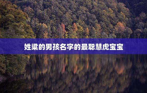 姓粱的男孩名字的最聪慧虎宝宝