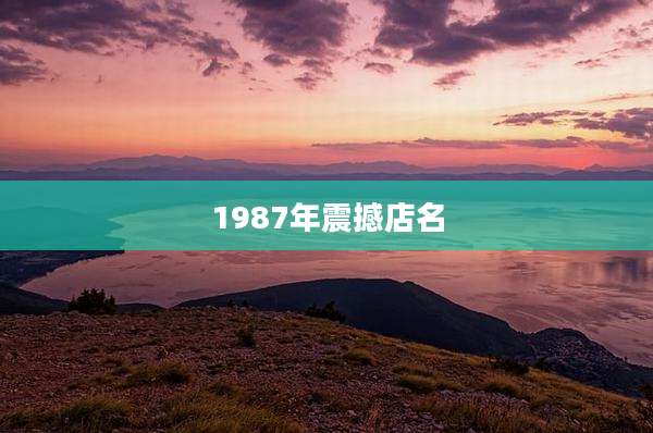 1987年震撼店名