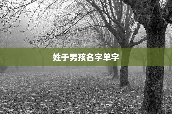 姓于男孩名字单字