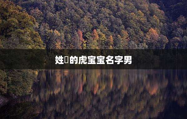 姓冮的虎宝宝名字男