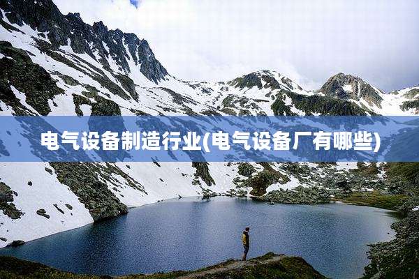 电气设备制造行业(电气设备厂有哪些)