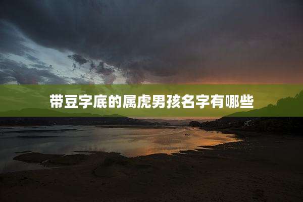 带豆字底的属虎男孩名字有哪些